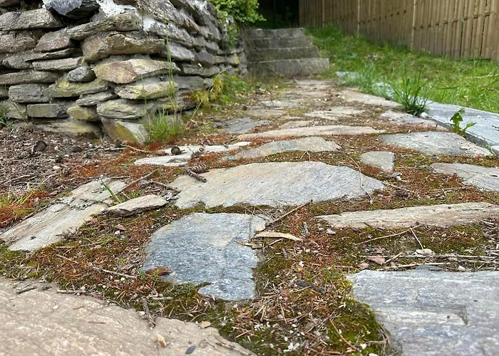 W Dusznikach 두슈니키 즈드로지